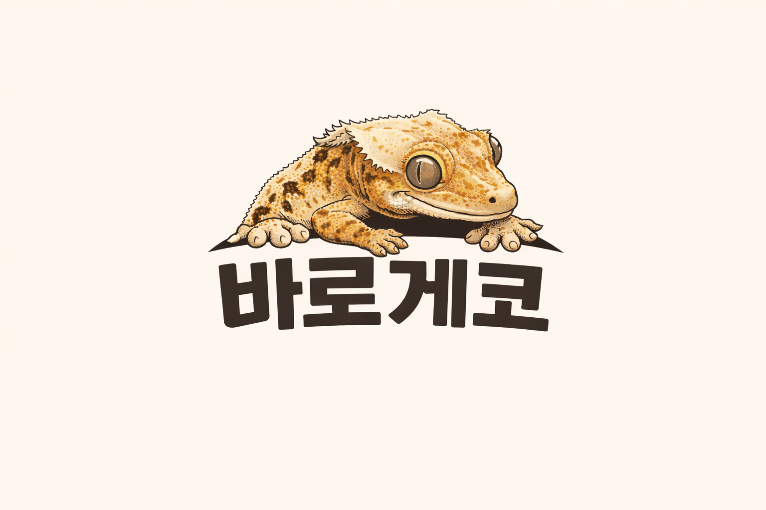 바로게코