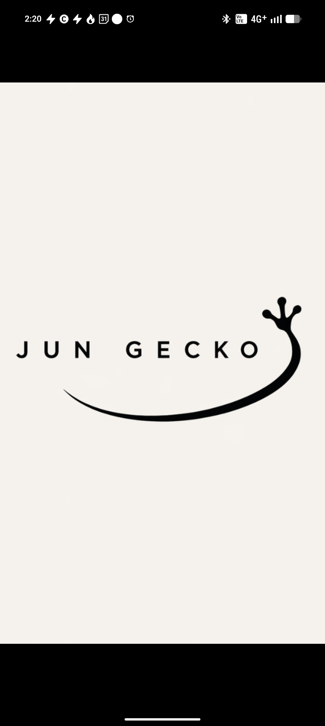 JUNGECKO