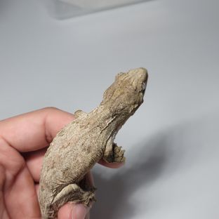 브로쓰