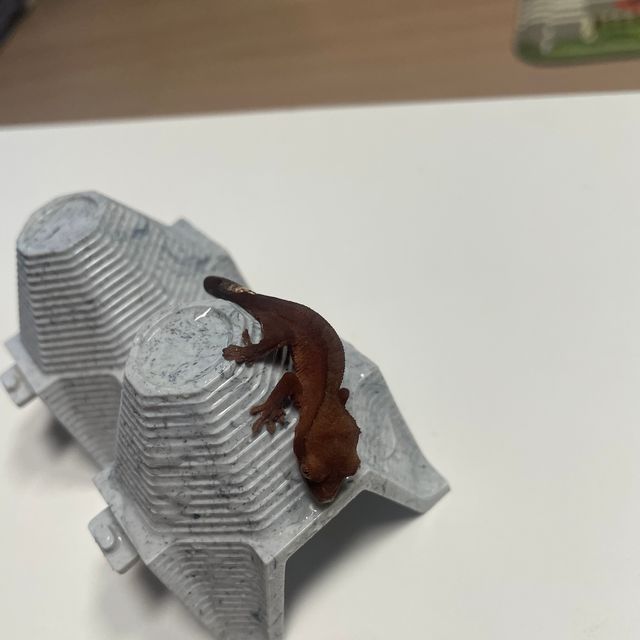 챠콜 블랙