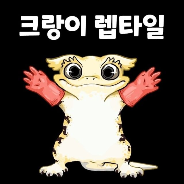 노멀