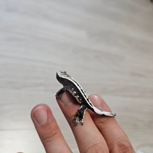 에이x화랑
