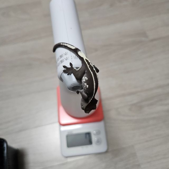 아잔틱