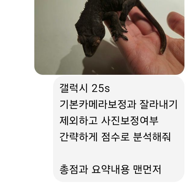 프라푸치노 다크