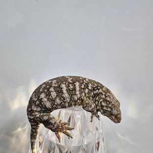 하이 컬러