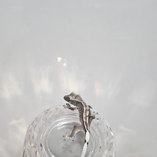 아잔틱