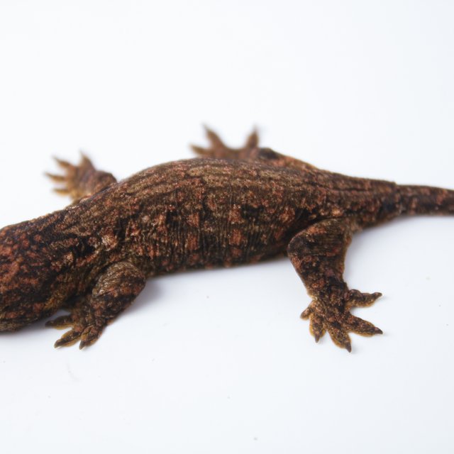 하이 컬러 트루 컬러