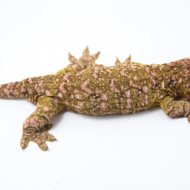 트루 컬러 하이 컬러