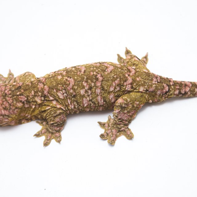 트루 컬러 하이 컬러