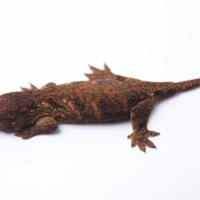 하이 컬러 트루 컬러