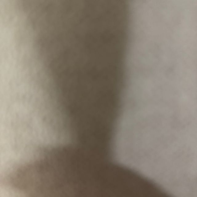 슈퍼달마시안 달마시안