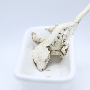 덴버
