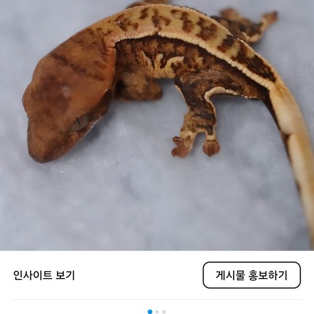 노멀 레이지