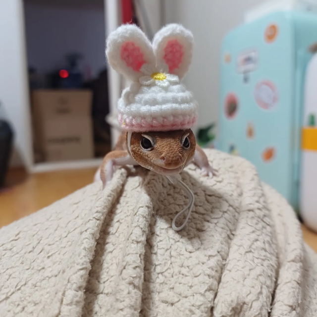 노멀