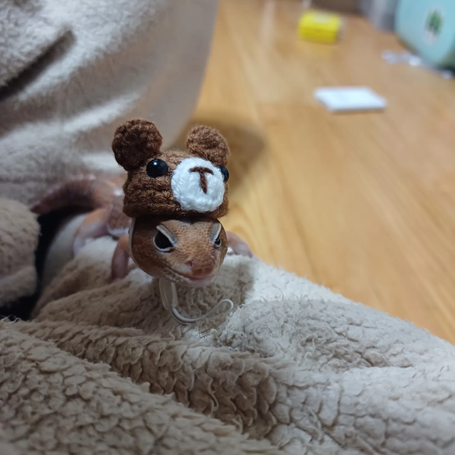 노멀
