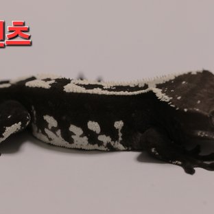 벤츠