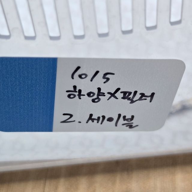 세이블
