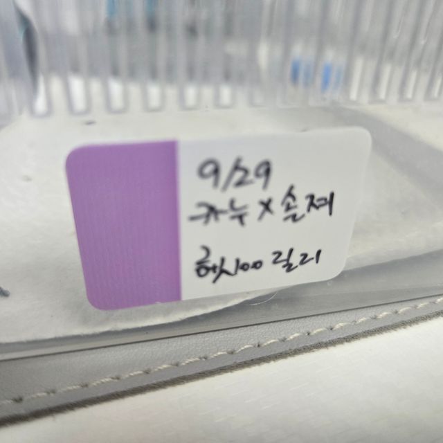 릴리100%헷아잔틱