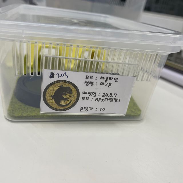 챠콜