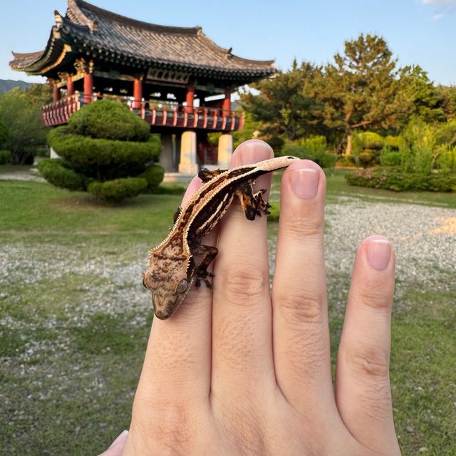 슈퍼스트라이프 엠티백