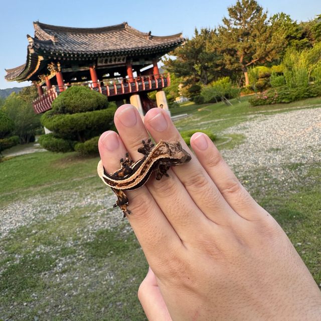 슈퍼스트라이프 엠티백