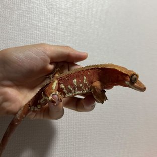 화염