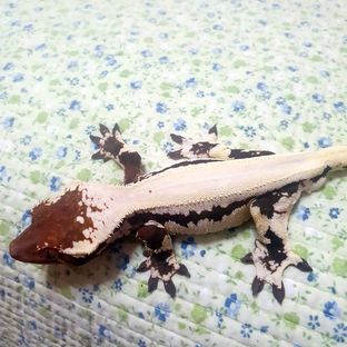 가을