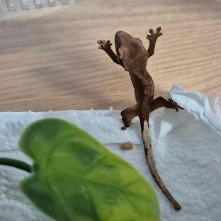 가을이
