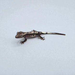 Ax b3