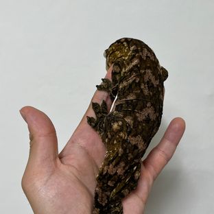 헷 멜라니스틱