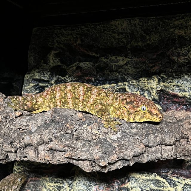 브로쓰