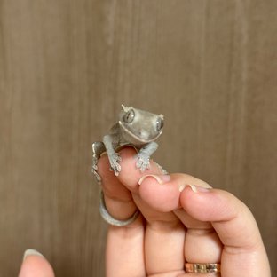 아잔틱