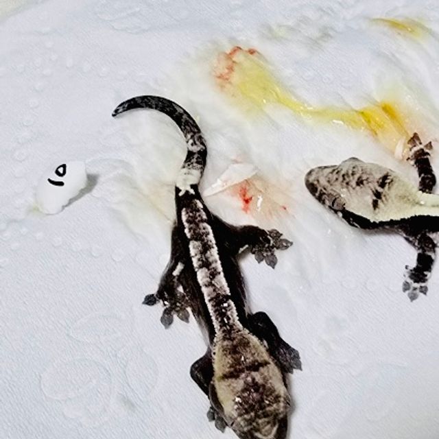 아잔틱