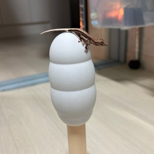 커피