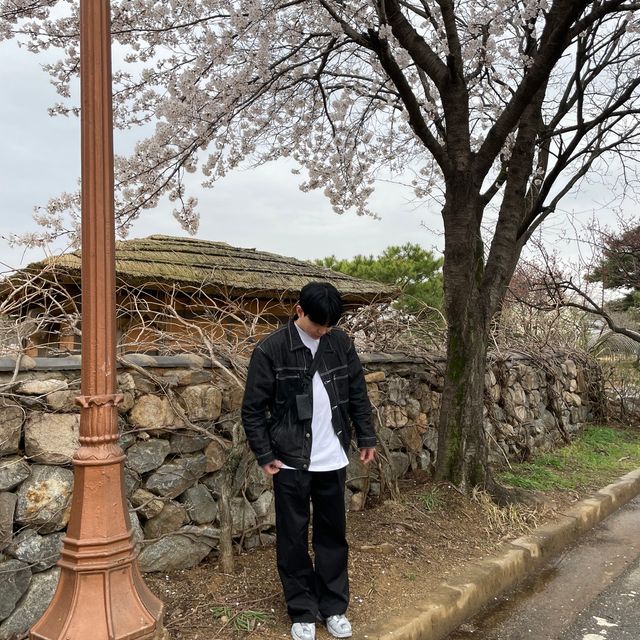 릴리화이트 레이지