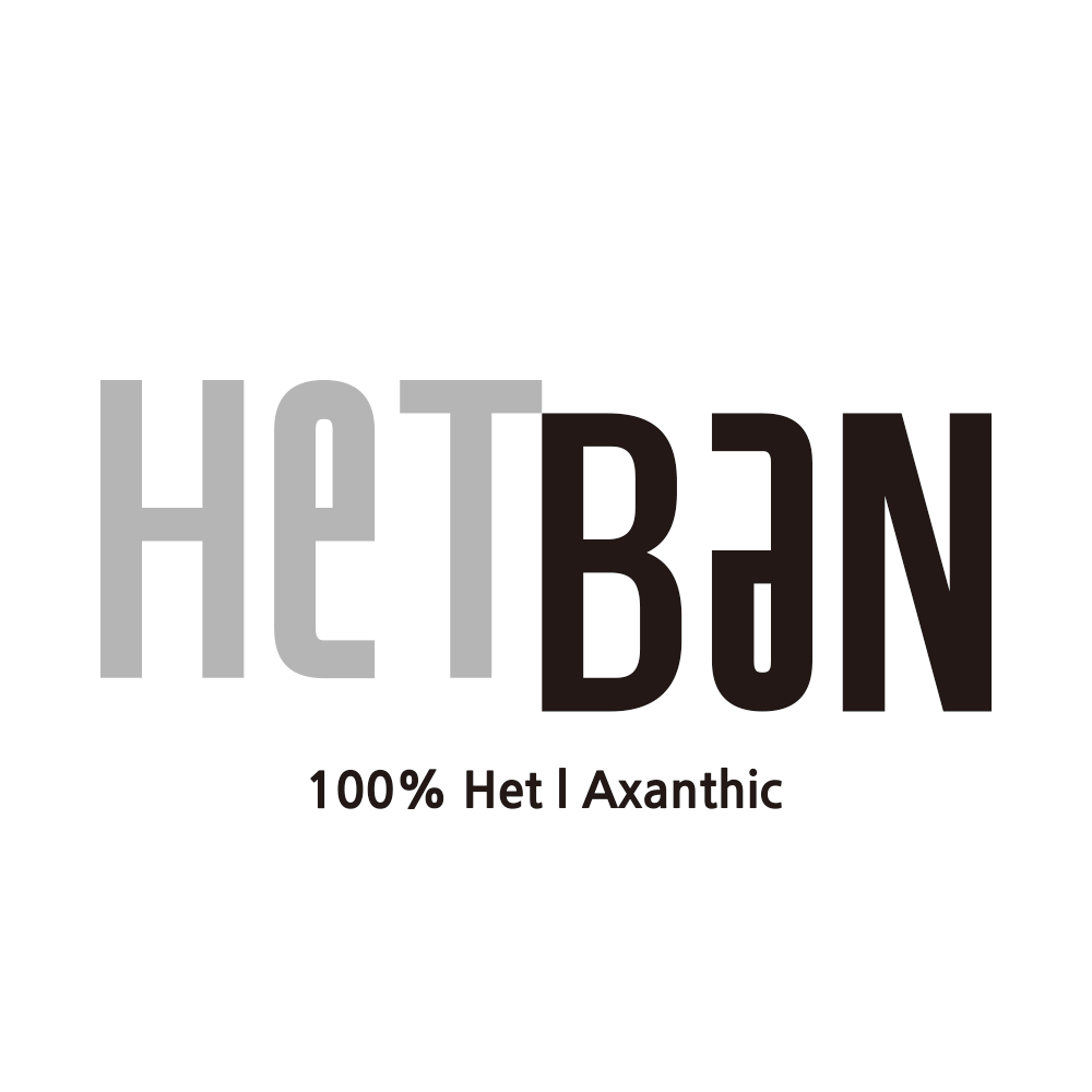 HetBan헷반