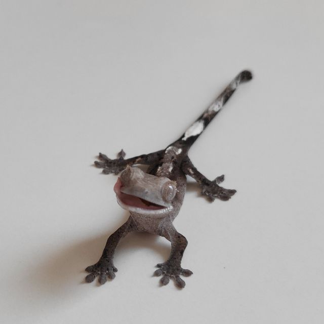 아잔틱