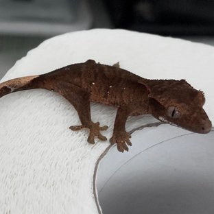 챠콜 다크 블랙 화이트포트홀