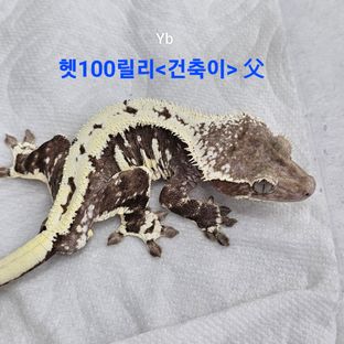 Yb