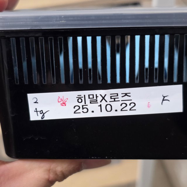 슈퍼스트라이프 엠티백