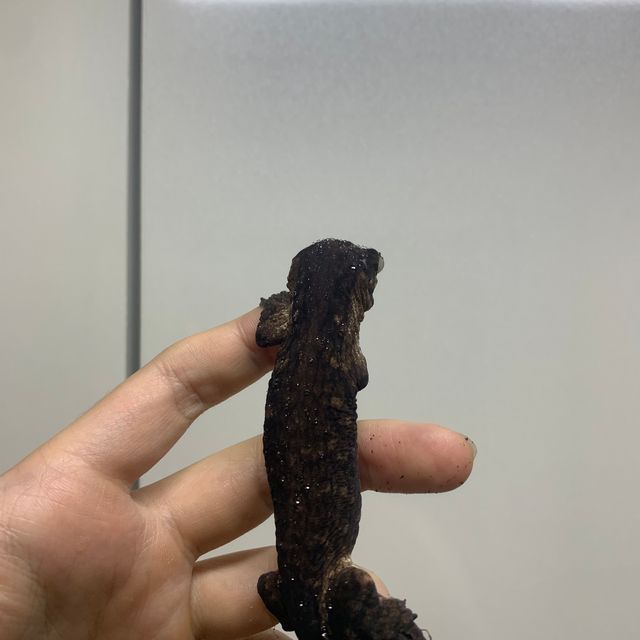 멜라니스틱