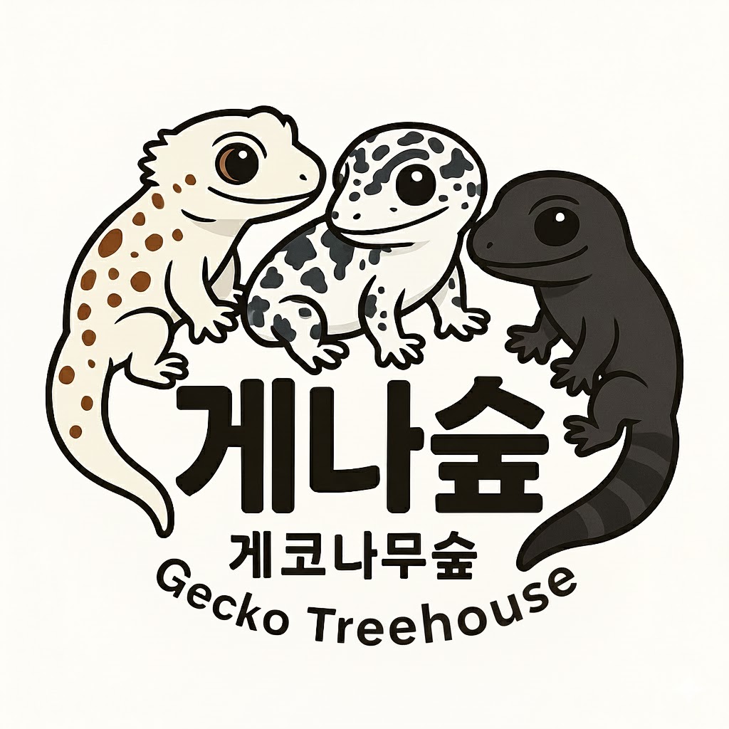 게코나무숲in청주