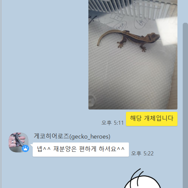 릴리100%헷아잔틱