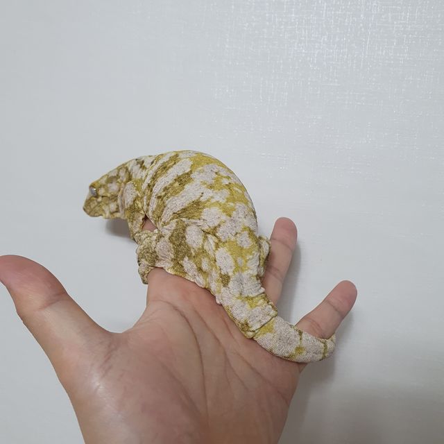브로쓰