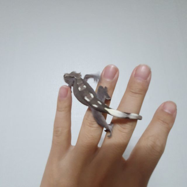 아잔틱