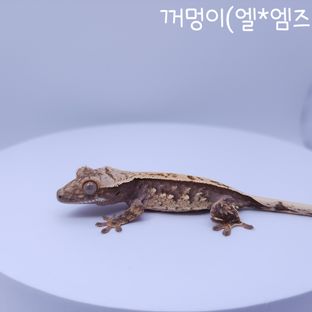 꺼멍이