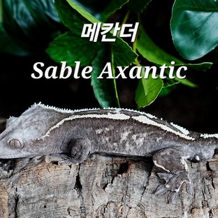 파인더