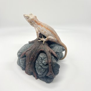 오렌지 스트라이프