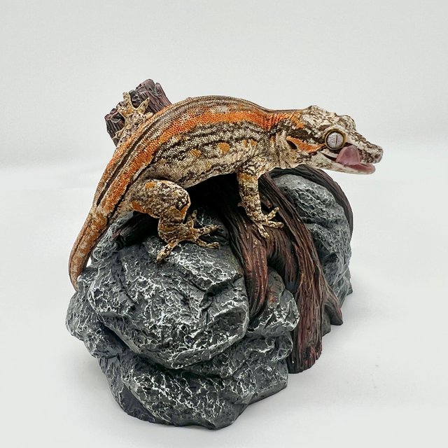 오렌지 스트라이프