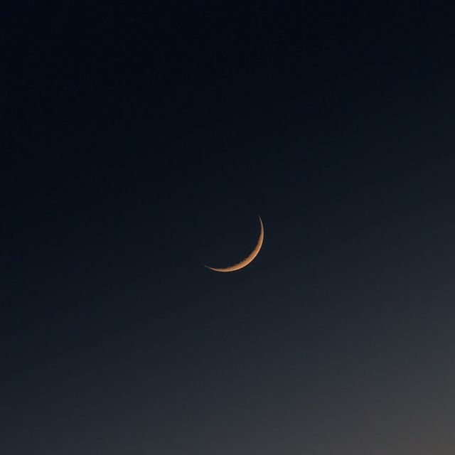 릴잔틱